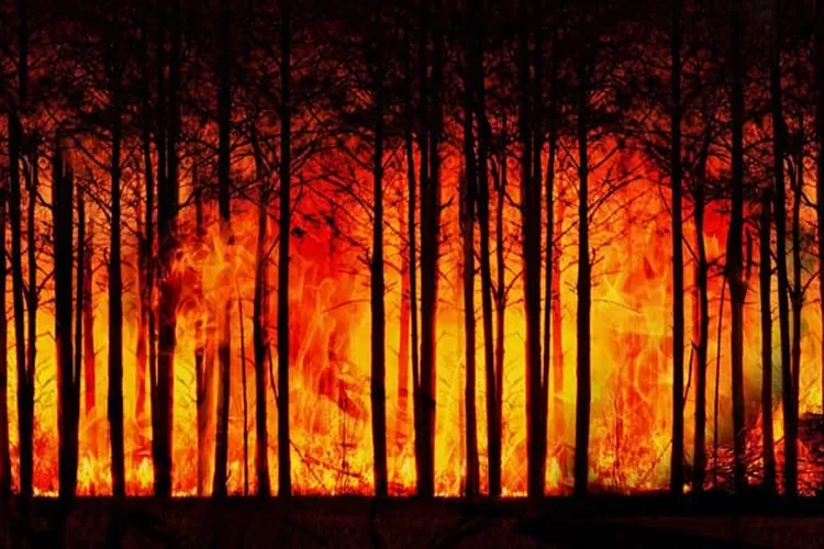 Gelombang Panas Ekstrem Landa Eropa: Ancaman Baru Perubahan Iklim
